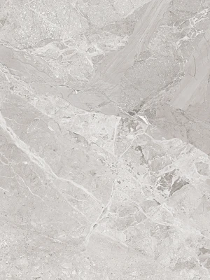 Matētas flīzes NAPOLI SILVER CARVING, 60x120 cm, LE